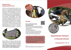 Flyer des Projektes "Reiten in der Schule", Gestaltung von Kerstin Philipp, Texter rund ums Thema Pferd und Reiten aus Aachen